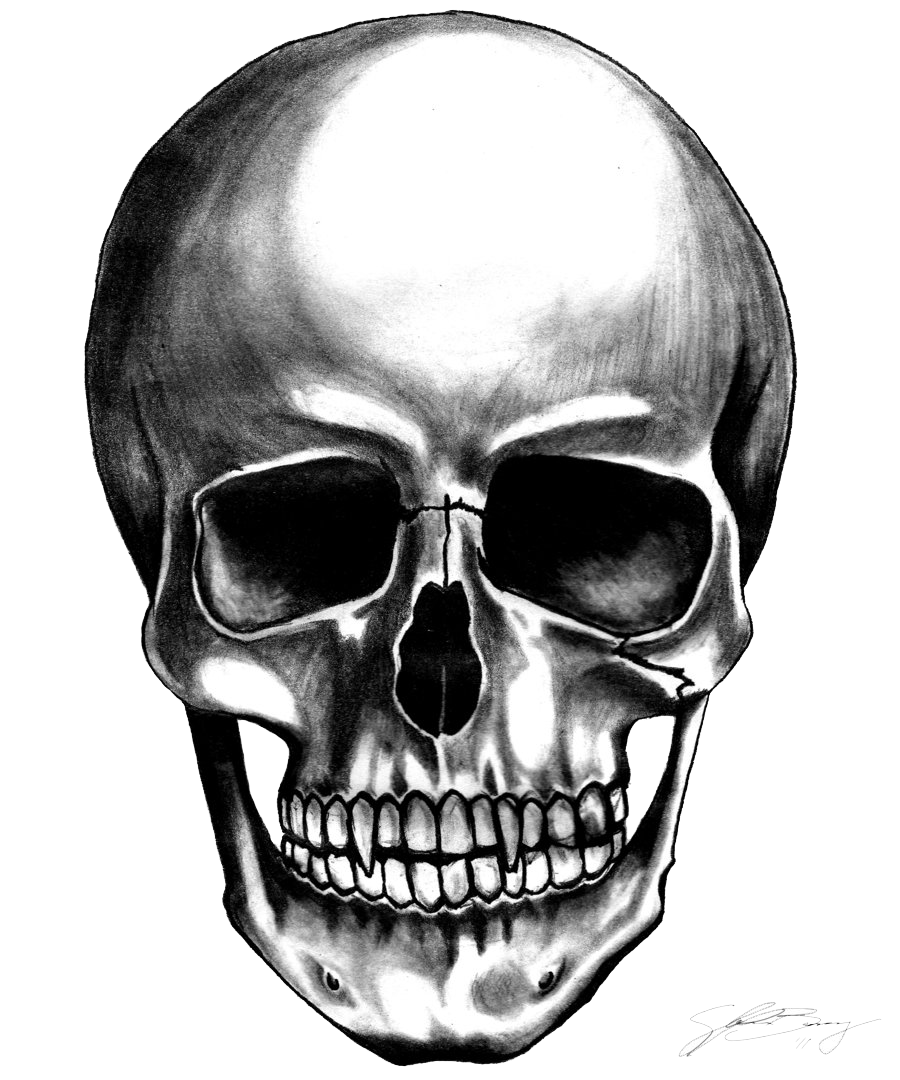 Download PNG image - Skull Transparent Background 