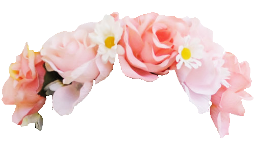 Download PNG image - Snapchat Flower Crown PNG Photo 