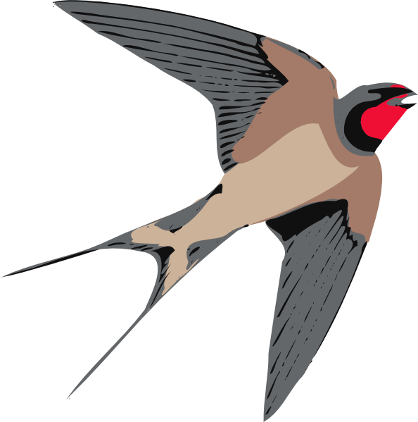 Download PNG image - Sparrow PNG Free Download 