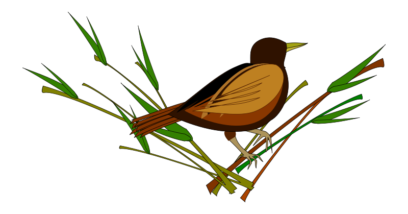 Download PNG image - Sparrow PNG Pic 