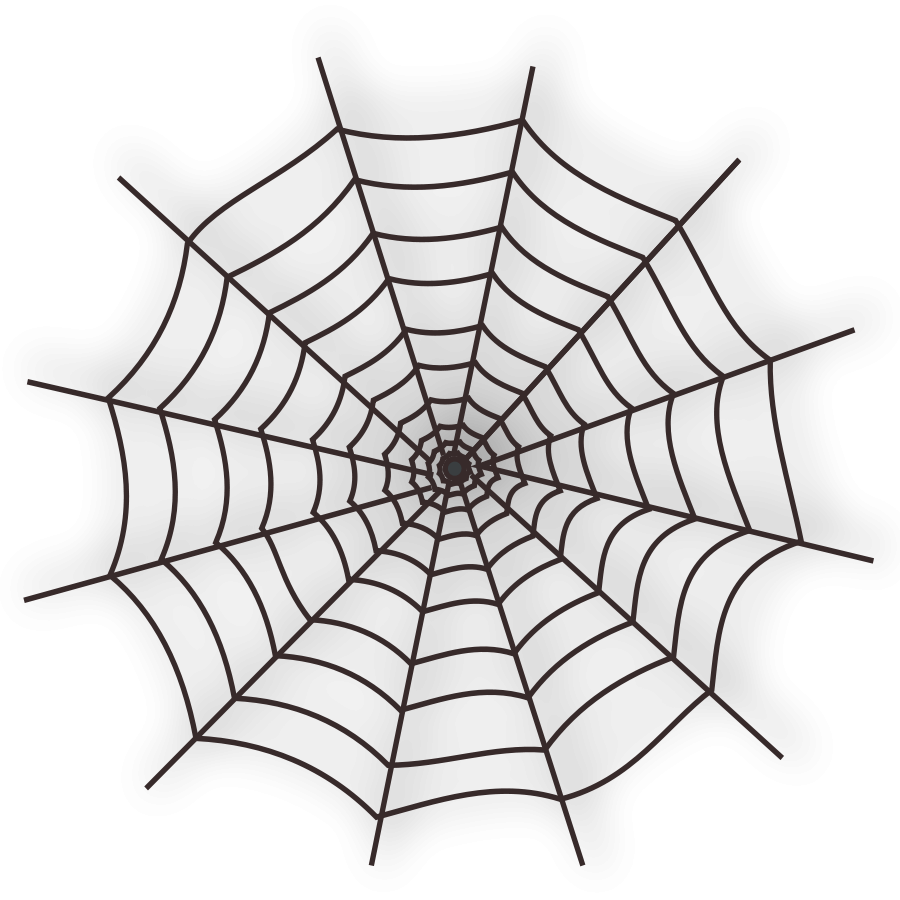 Download PNG image - Spider Web 