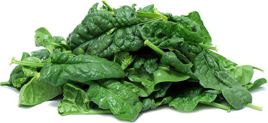 Download PNG image - Spinach PNG Clipart 