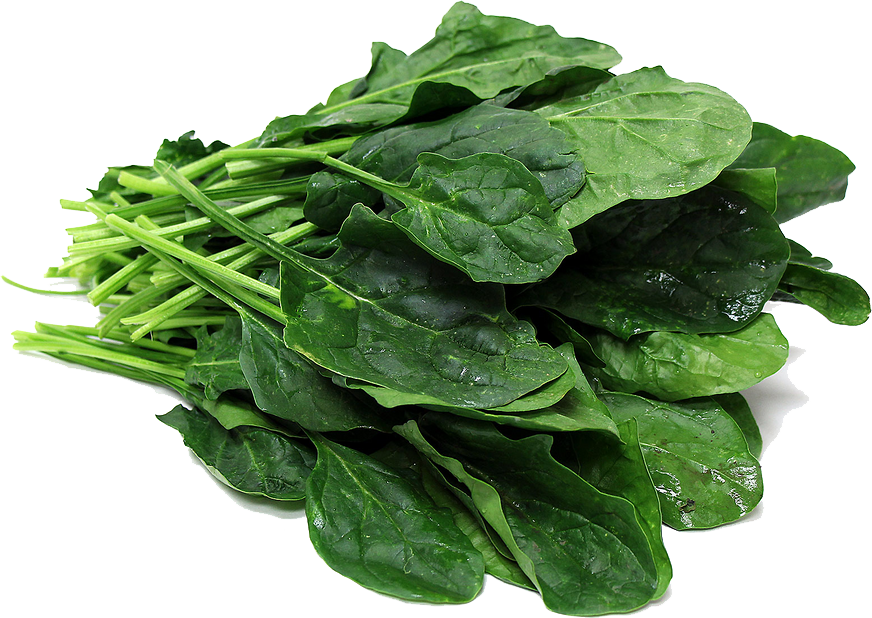 Download PNG image - Spinach PNG File 
