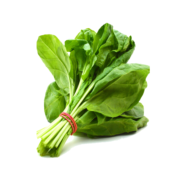 Download PNG image - Spinach PNG Free Download 