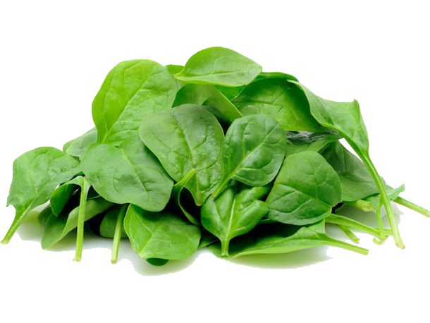 Download PNG image - Spinach PNG Image 