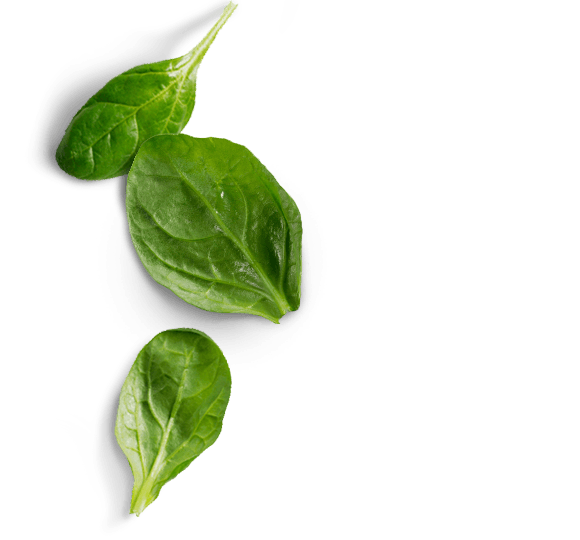 Download PNG image - Spinach PNG Photos 