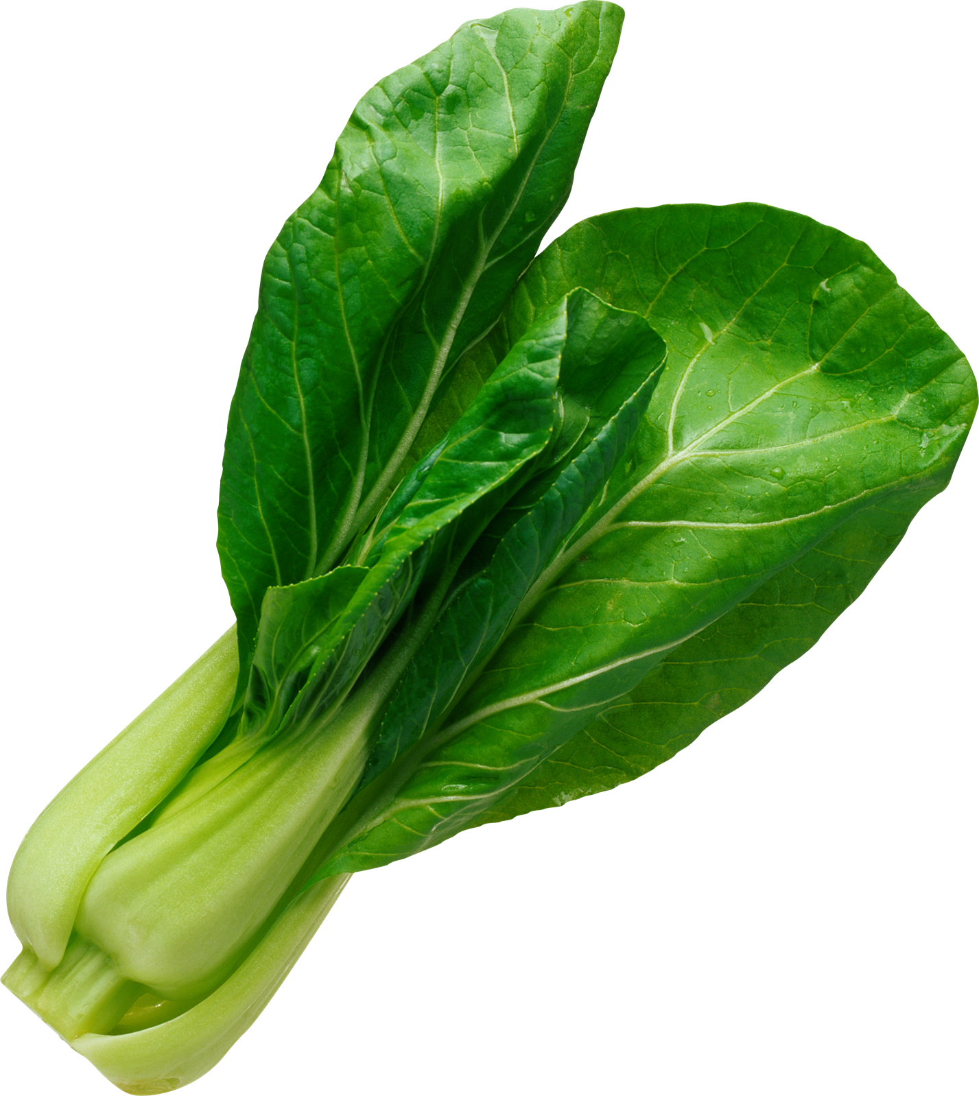 Download PNG image - Spinach PNG Pic 