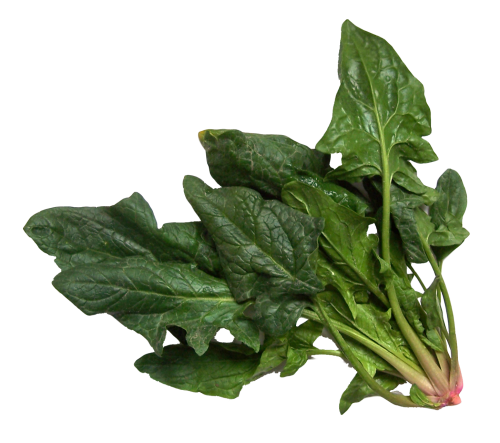 Download PNG image - Spinach PNG Picture 