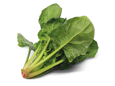 Download PNG image - Spinach Transparent Background 