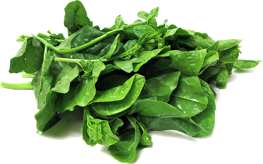 Download PNG image - Spinach Transparent PNG 