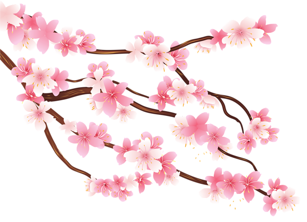 Download PNG image - Spring Flower PNG Image 