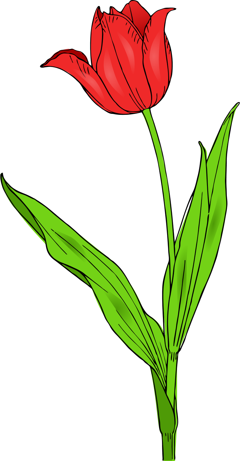 Download PNG image - Spring Flower PNG Picture 