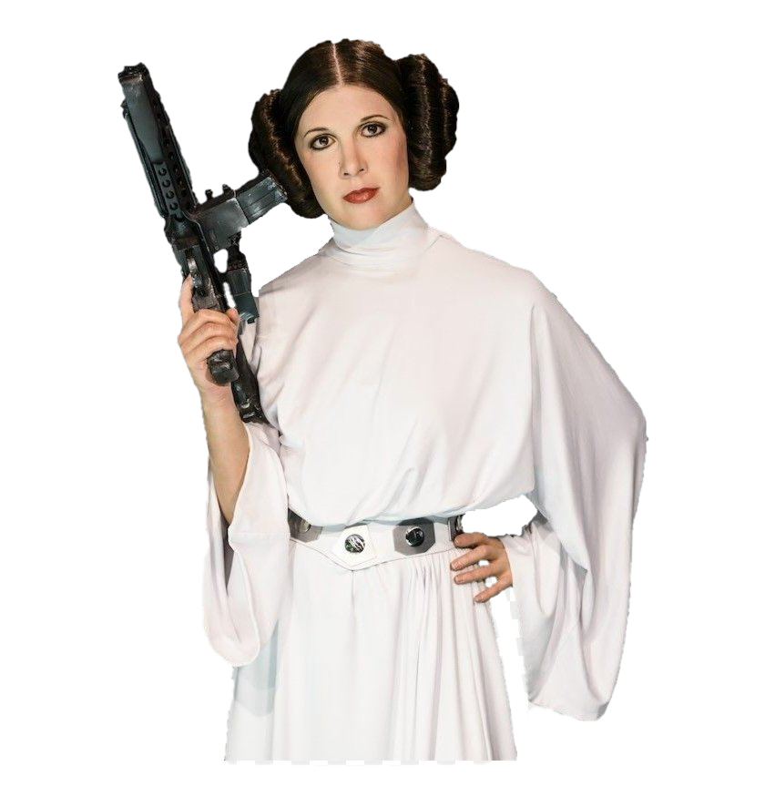 princess leia,star wars,fictional characters, png image,png, free download,...