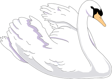 Download PNG image - Swan PNG Clipart 