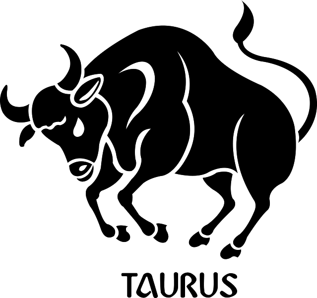 Download PNG image - Taurus PNG Photo 