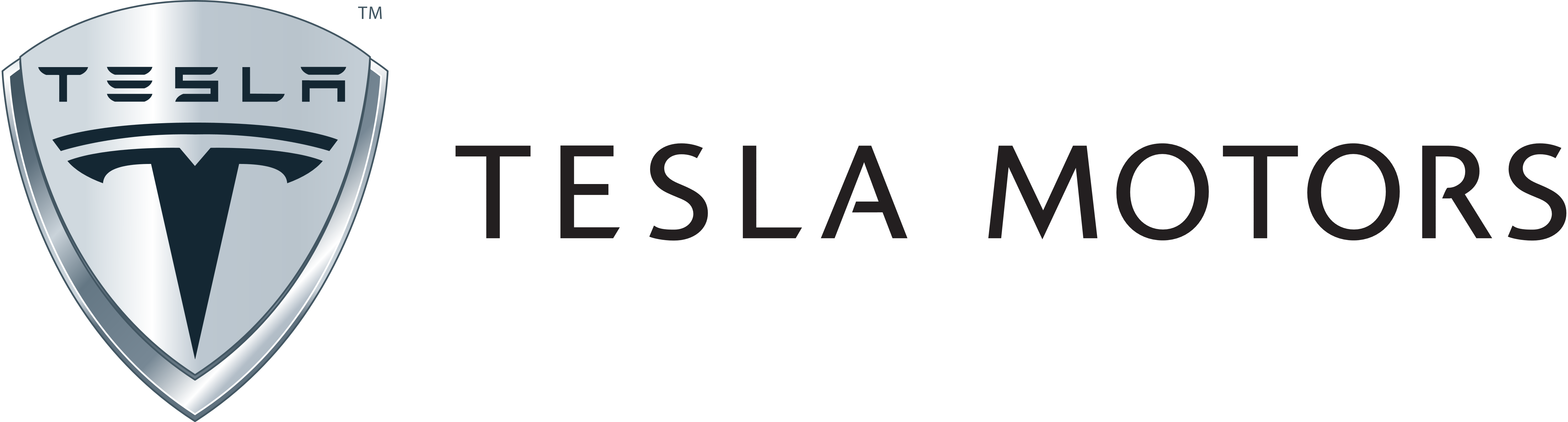 Download PNG image - Tesla Logo Transparent PNG 
