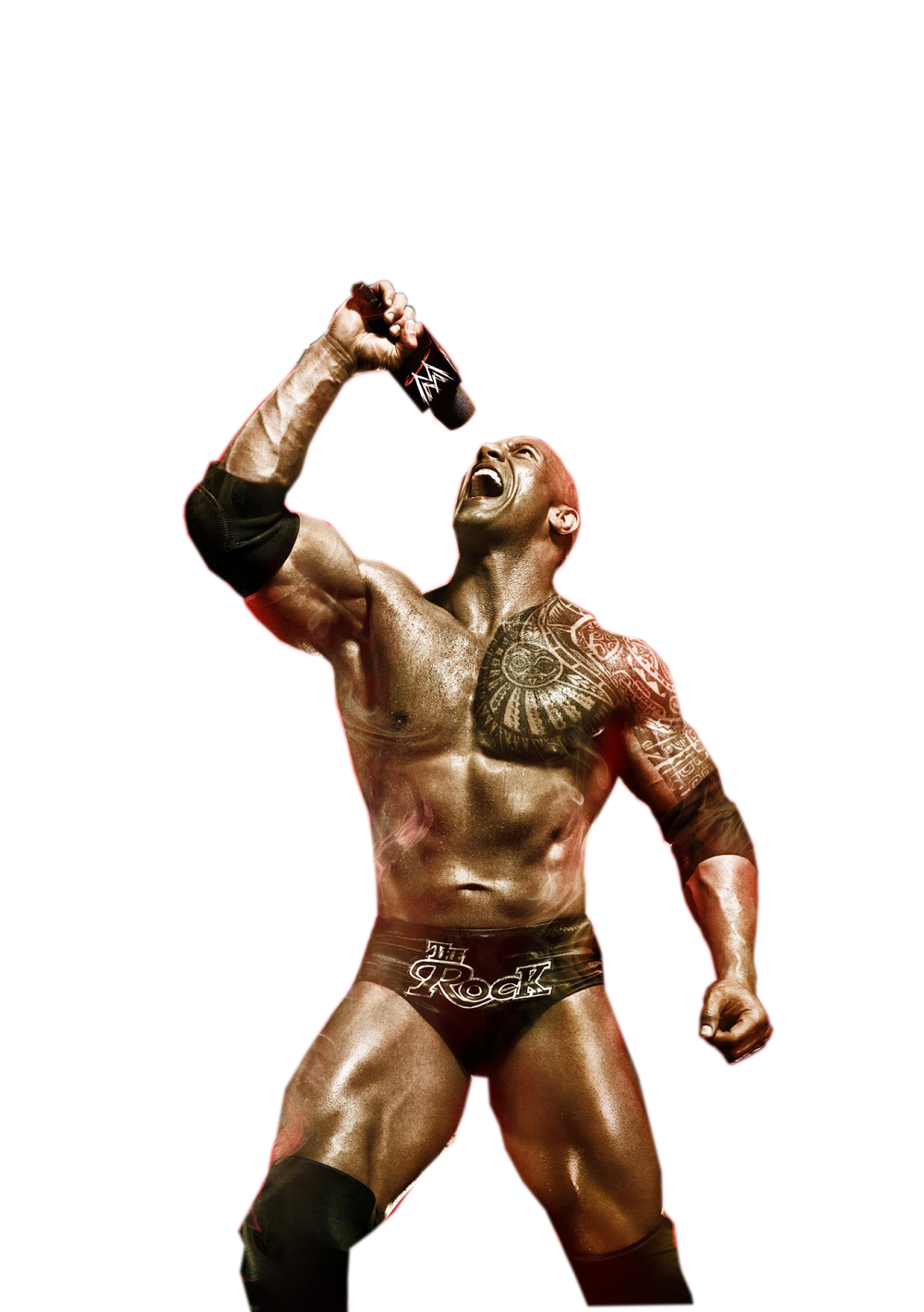Download PNG image - The Rock PNG File 