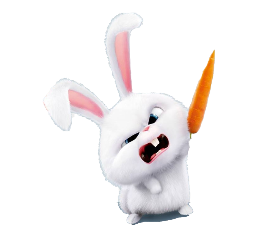 Download PNG image - The Secret Life Of Pets PNG Picture 