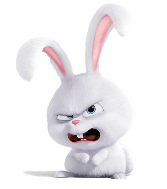 Download PNG image - The Secret Life Of Pets Rabbit Snowball PNG File 
