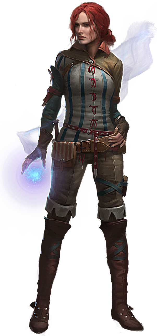 Download PNG image - The Witcher PNG Transparent Picture 