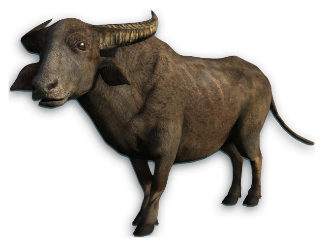 Download PNG image - Water Buffalo PNG Transparent Picture 