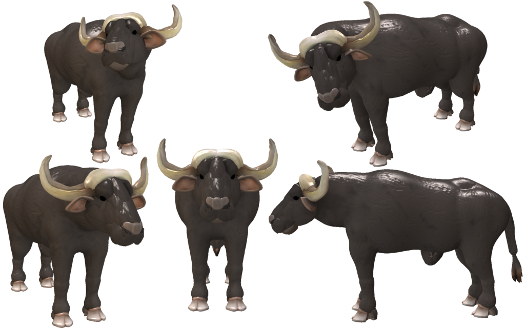 Download PNG image - Water Buffalo Transparent Images PNG 