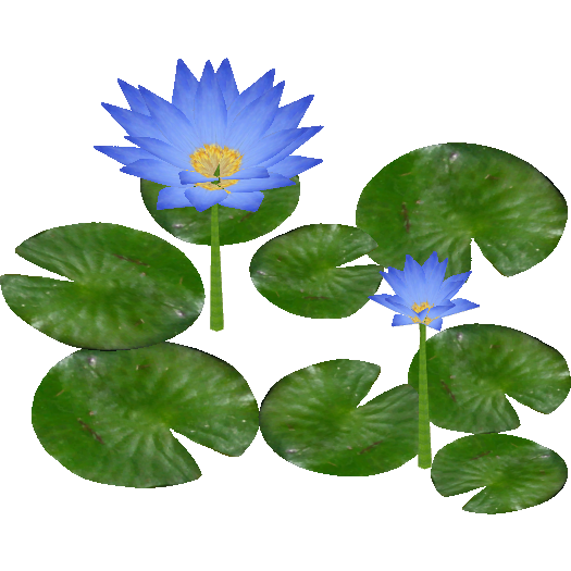 Download PNG image - Water Lily PNG Clipart 