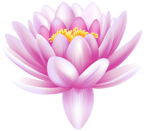 Download PNG image - Water Lily PNG Photos 