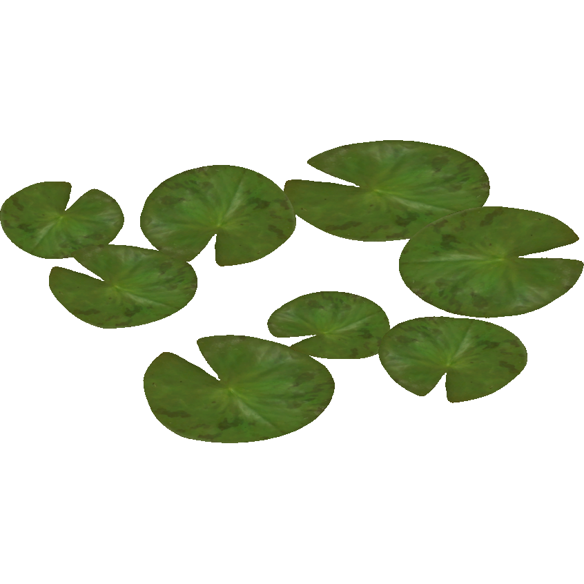 Download PNG image - Water Lily PNG Pic 