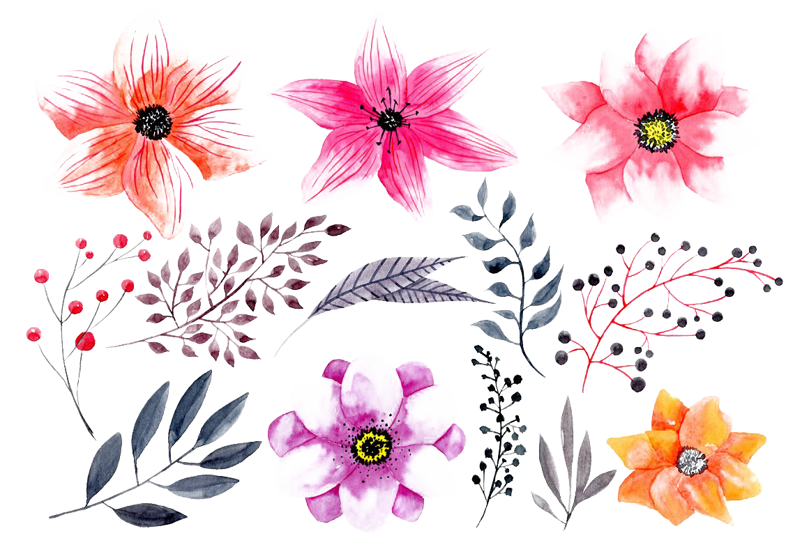 Download PNG image - Watercolor Flowers PNG HD Photo 