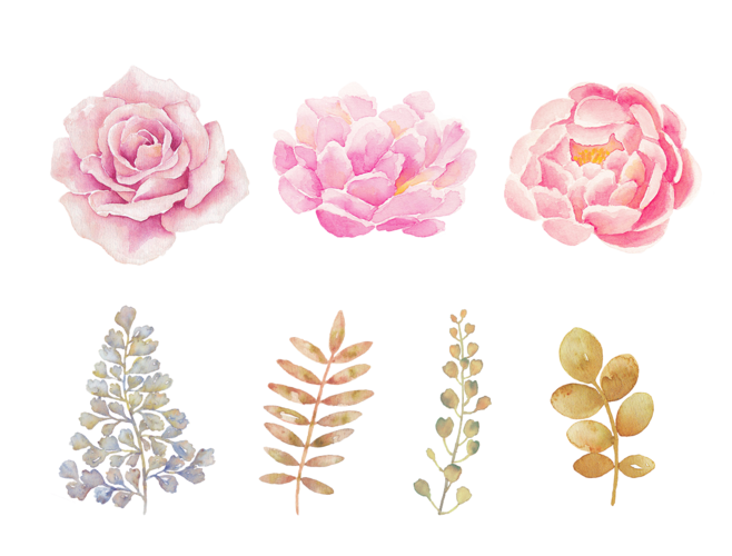 Download PNG image - Watercolor Flowers PNG Transparent Background 