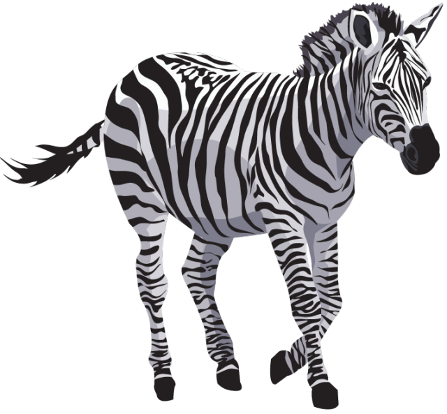 Download PNG image - Zebra PNG File Download Free 
