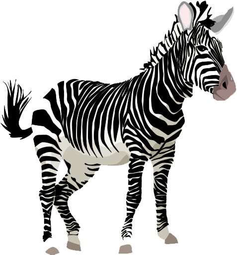 Download PNG image - Zebra PNG HD Quality 