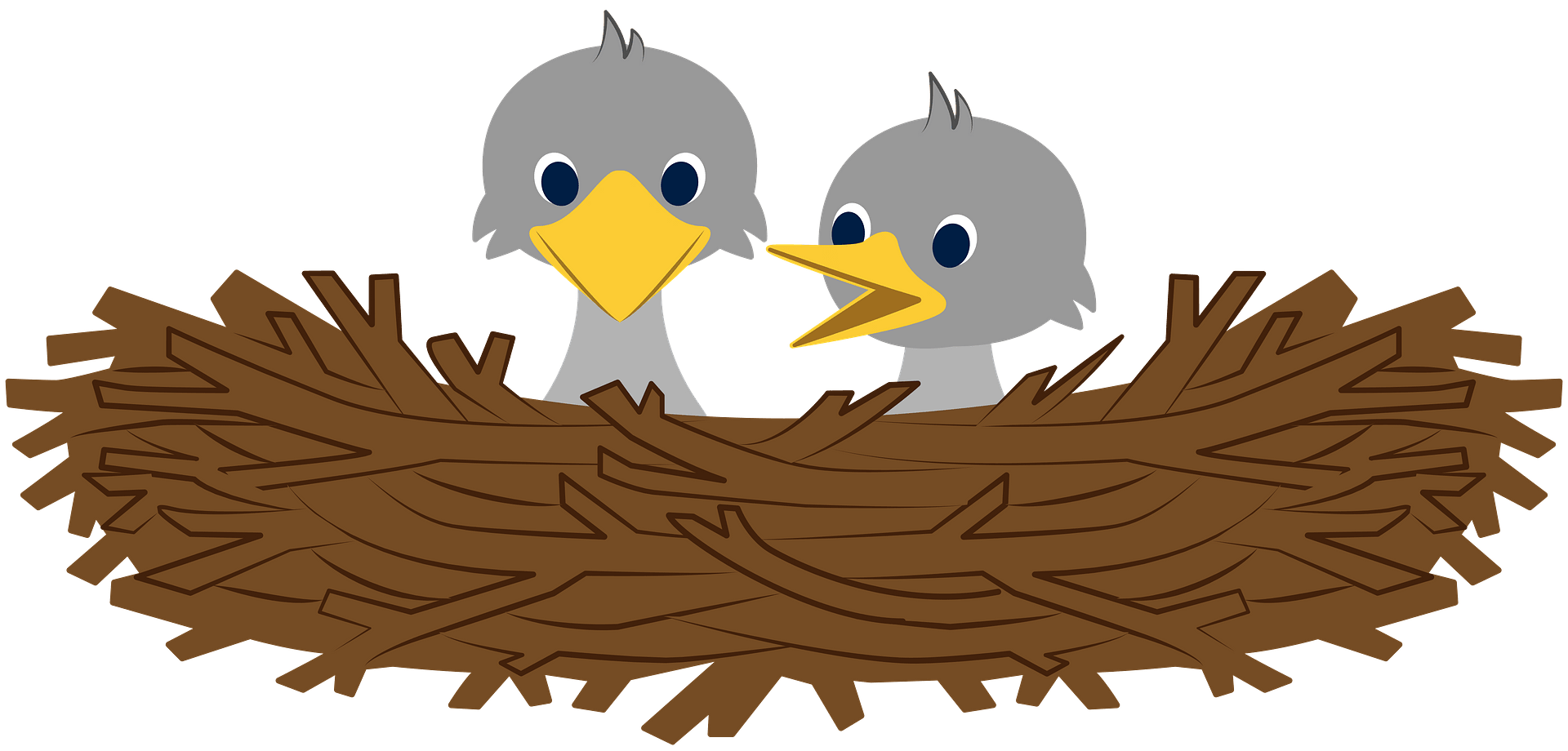 Download PNG image - Bird Nest Hatchlings PNG 