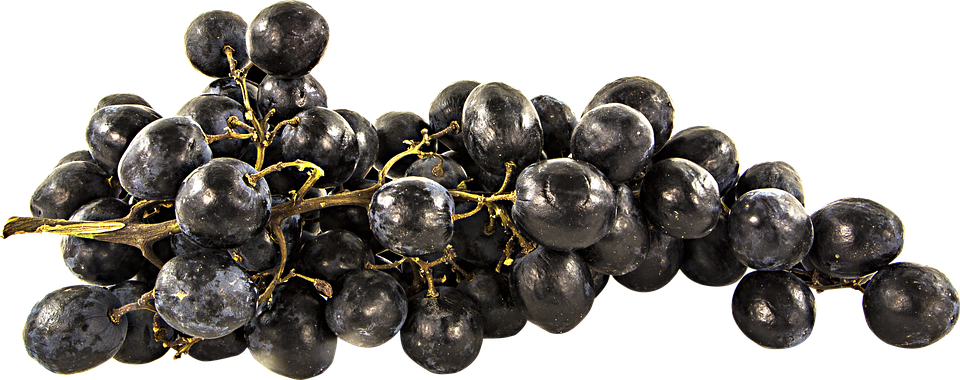 Download PNG image - Black Grapes PNG Clipart 