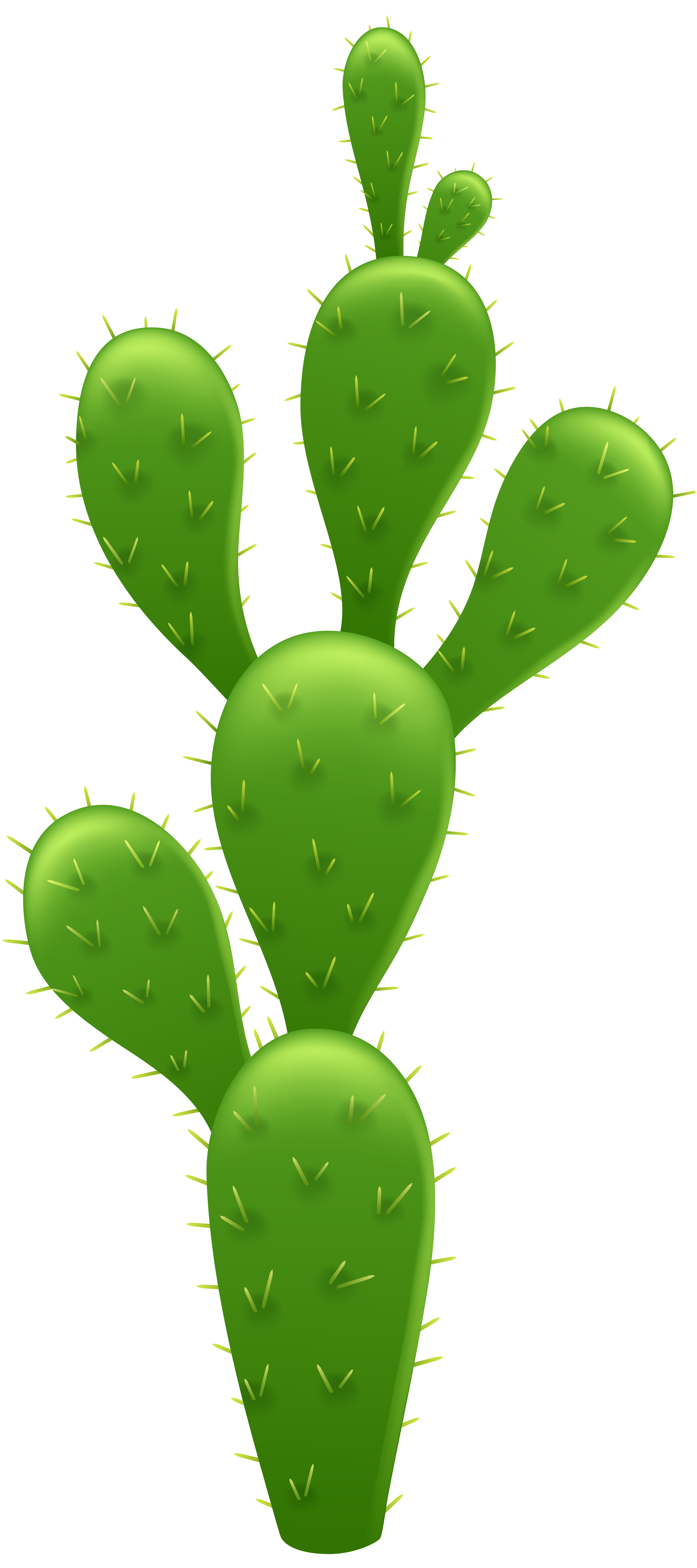 Download PNG image - Cactus Prickle Transparent PNG 