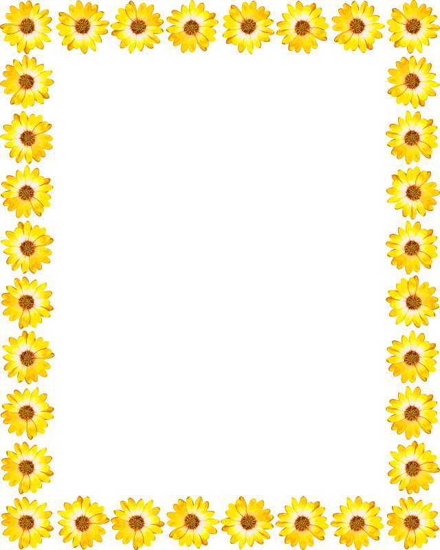 Download PNG image - Sunflower Border PNG Isolated HD 