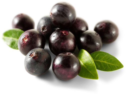 Download PNG image - Acai Berry PNG HD 