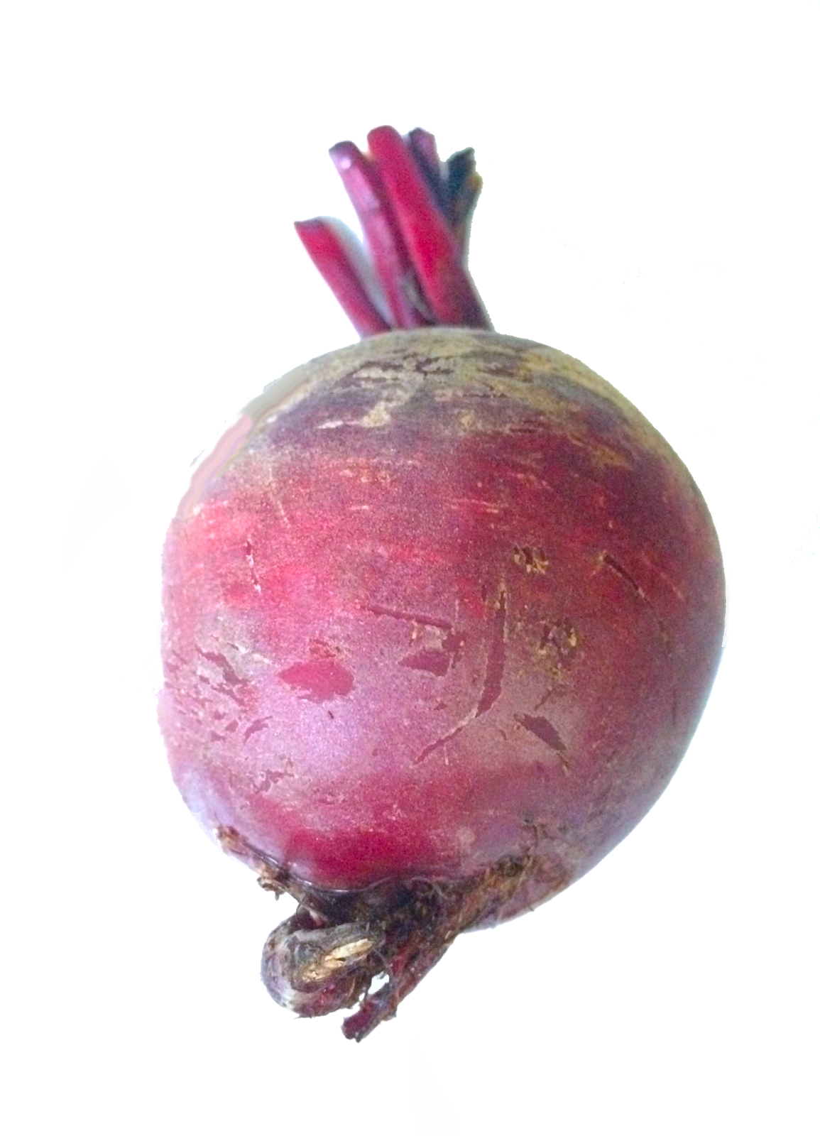 Download PNG image - Beetroot Red PNG 
