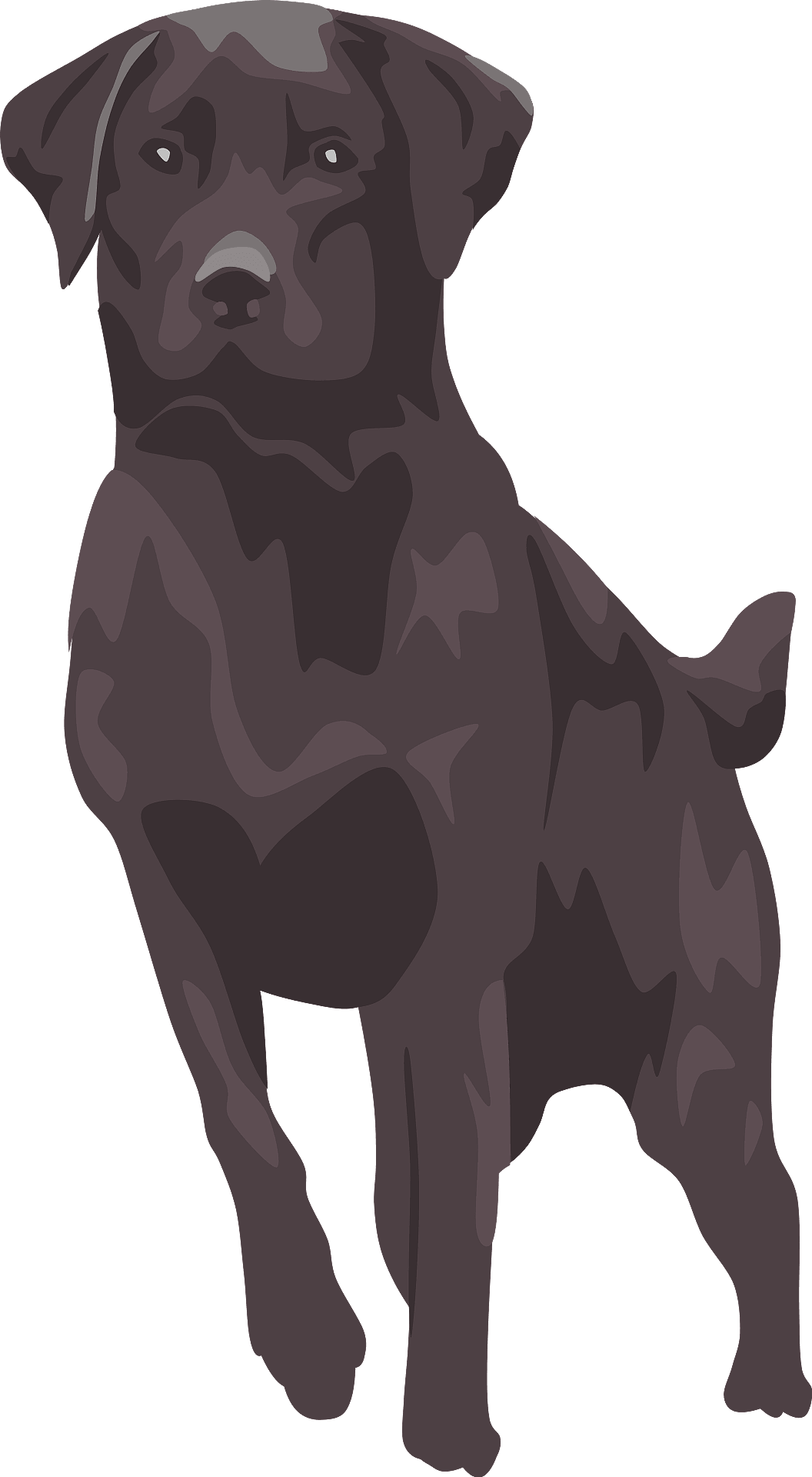 Download PNG image - Black Labrador Dog Vector PNG 