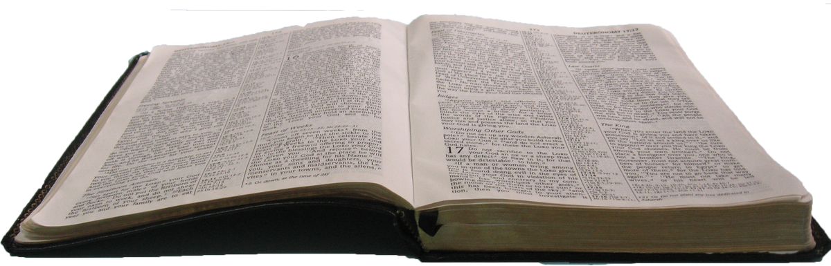 Download PNG image - Bible PNG Isolated Photos 