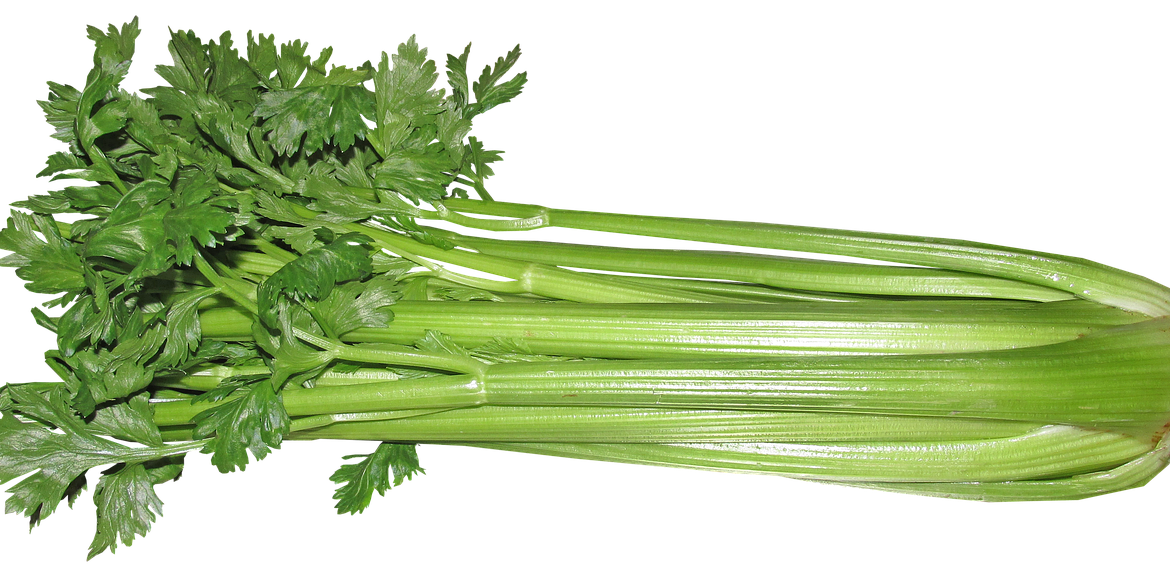 Download PNG image - Celery Sticks Bunch PNG Clipart 