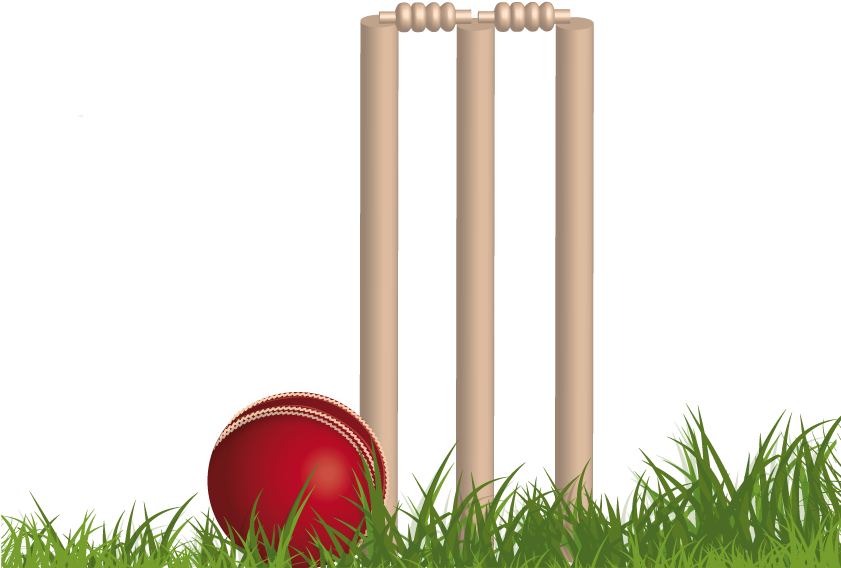Download PNG image - Cricket Wicket PNG 