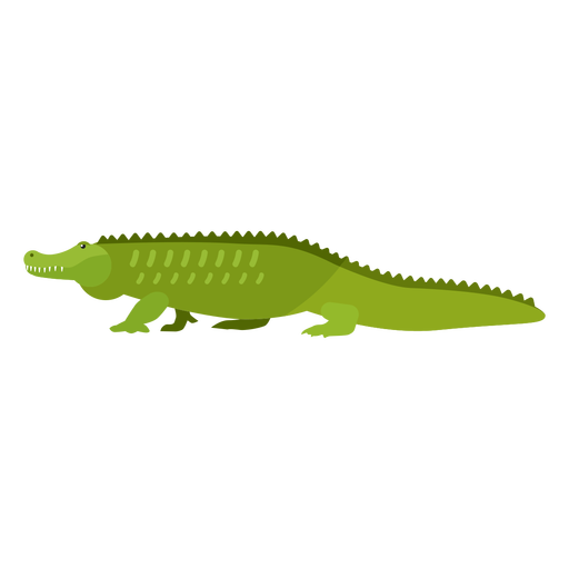 Download PNG image - Green Alligator PNG HD Isolated 