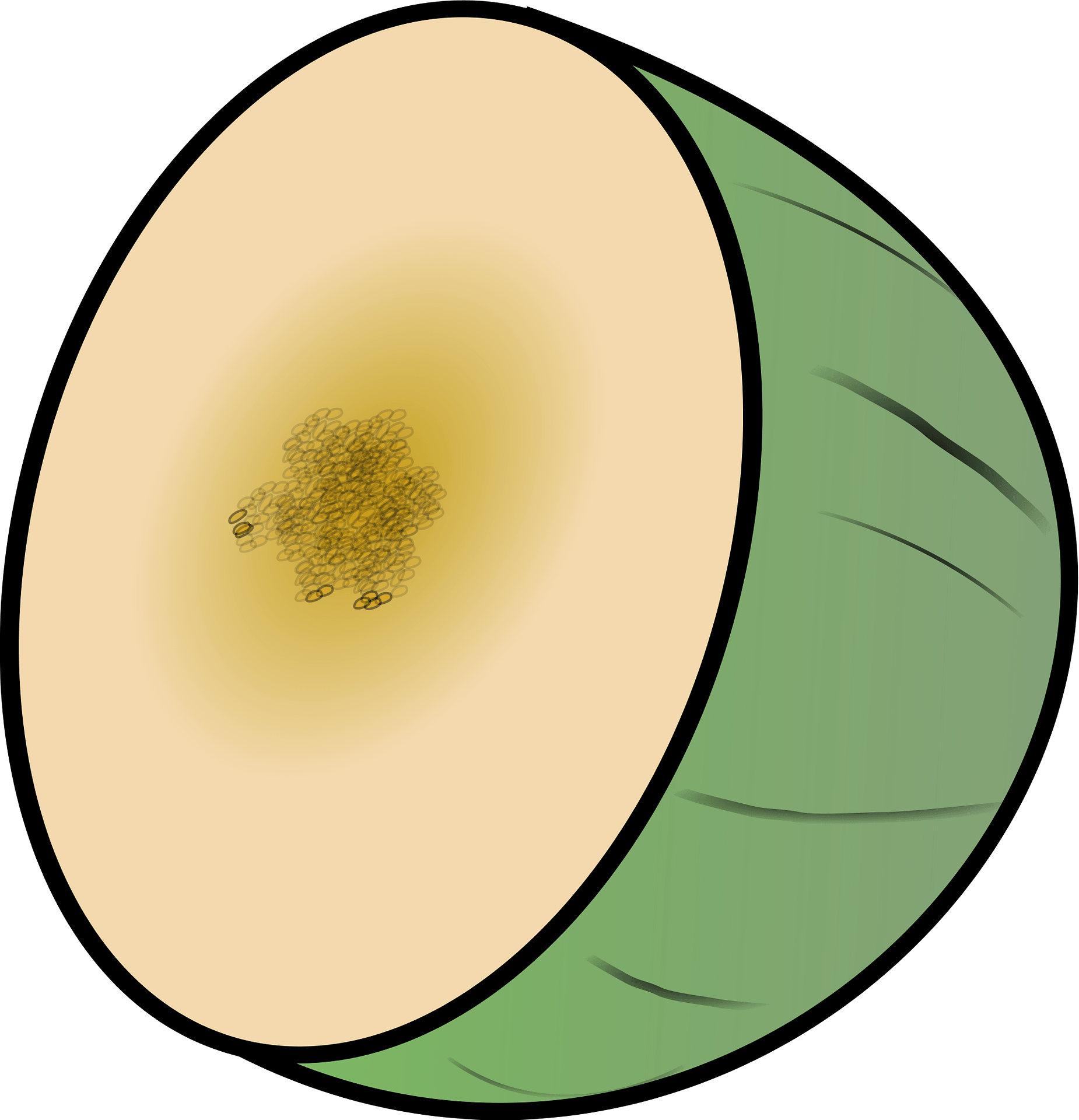Download PNG image - Green Cantaloupe PNG Image 