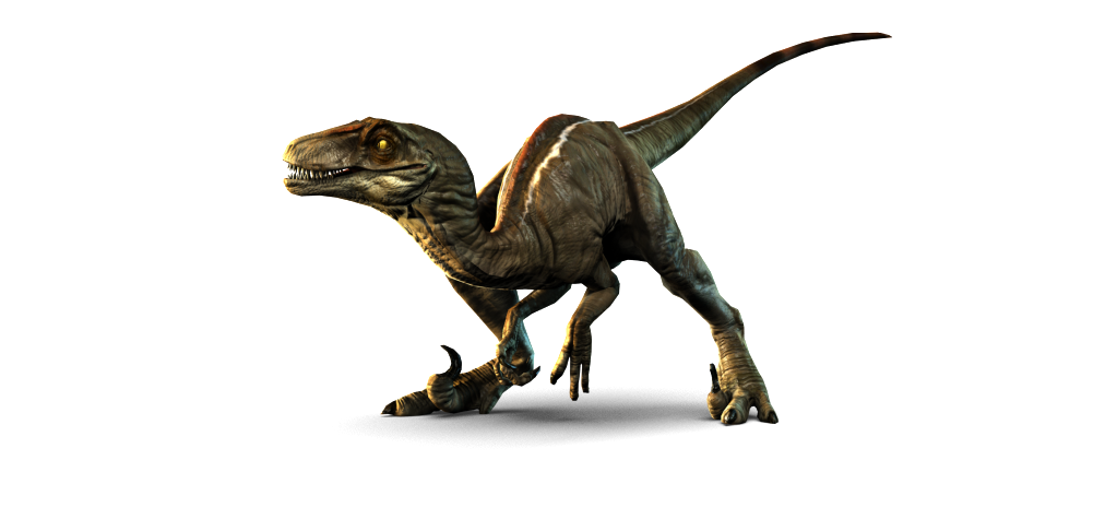 Download PNG image - Velociraptor PNG Picture 