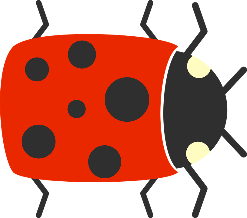 Download PNG image - Ladybug Cute Insect PNG Clipart 