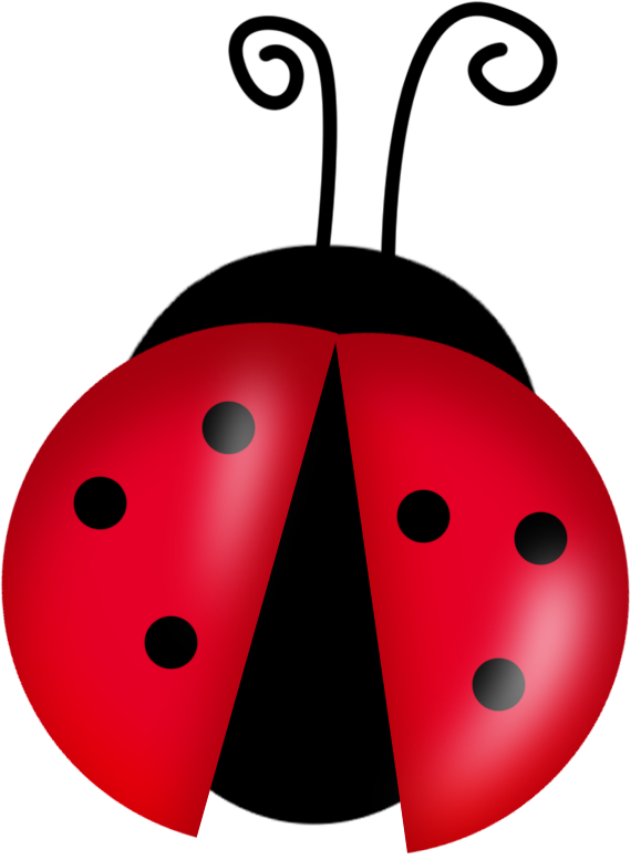 Download PNG image - Ladybug Cute Insect PNG Image 