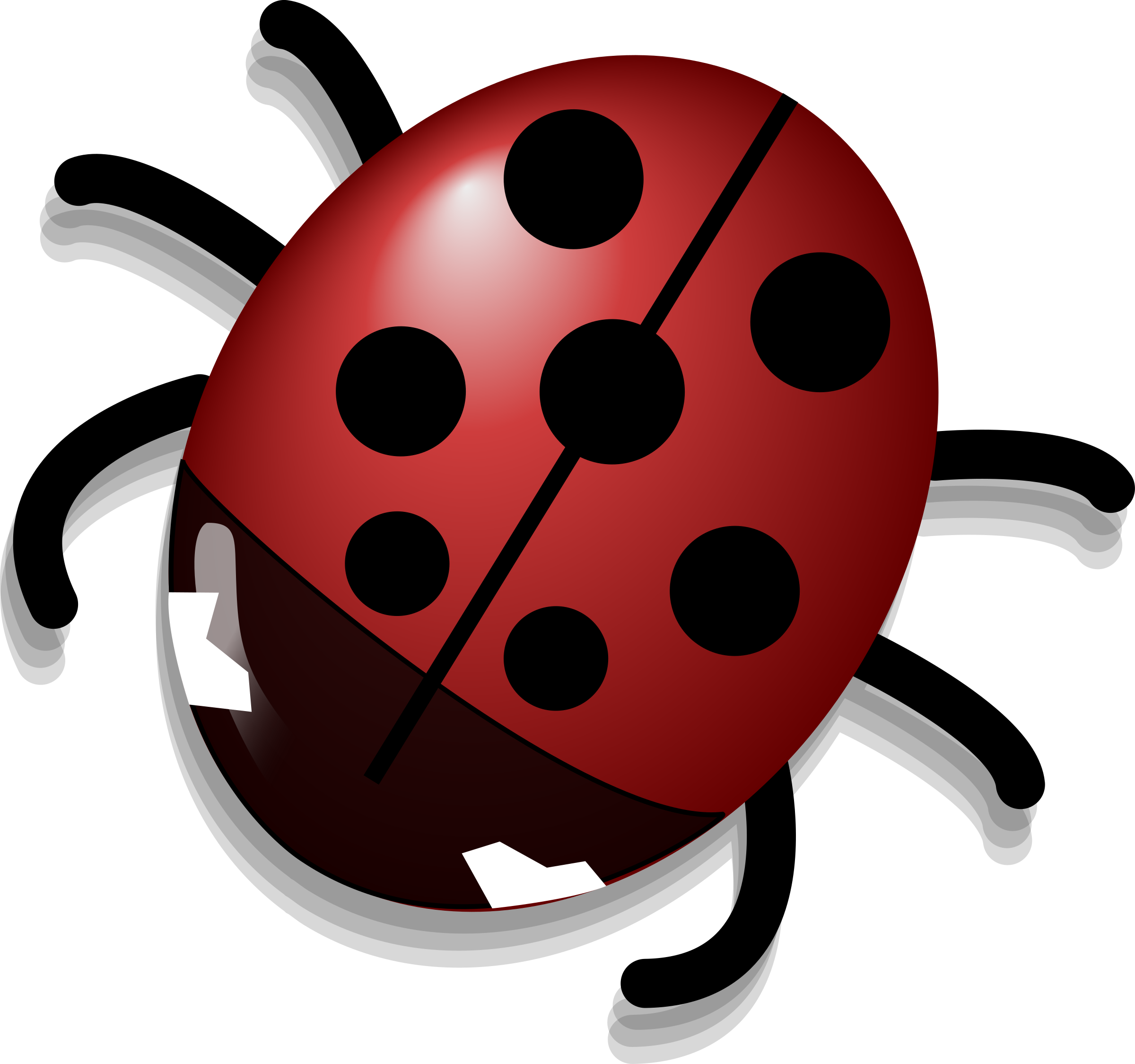 Download PNG image - Ladybug Cute Insect PNG Photos 
