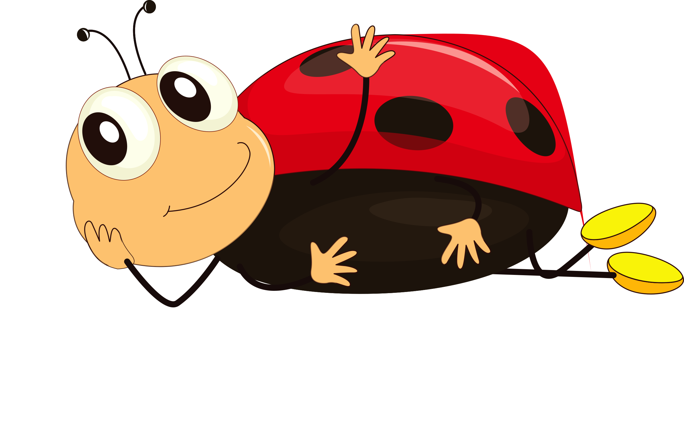 Download PNG image - Ladybug Cute Insect PNG Transparent Image 